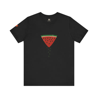 Watermelon Wedge / Falling Seeds | Distressed Print Tee