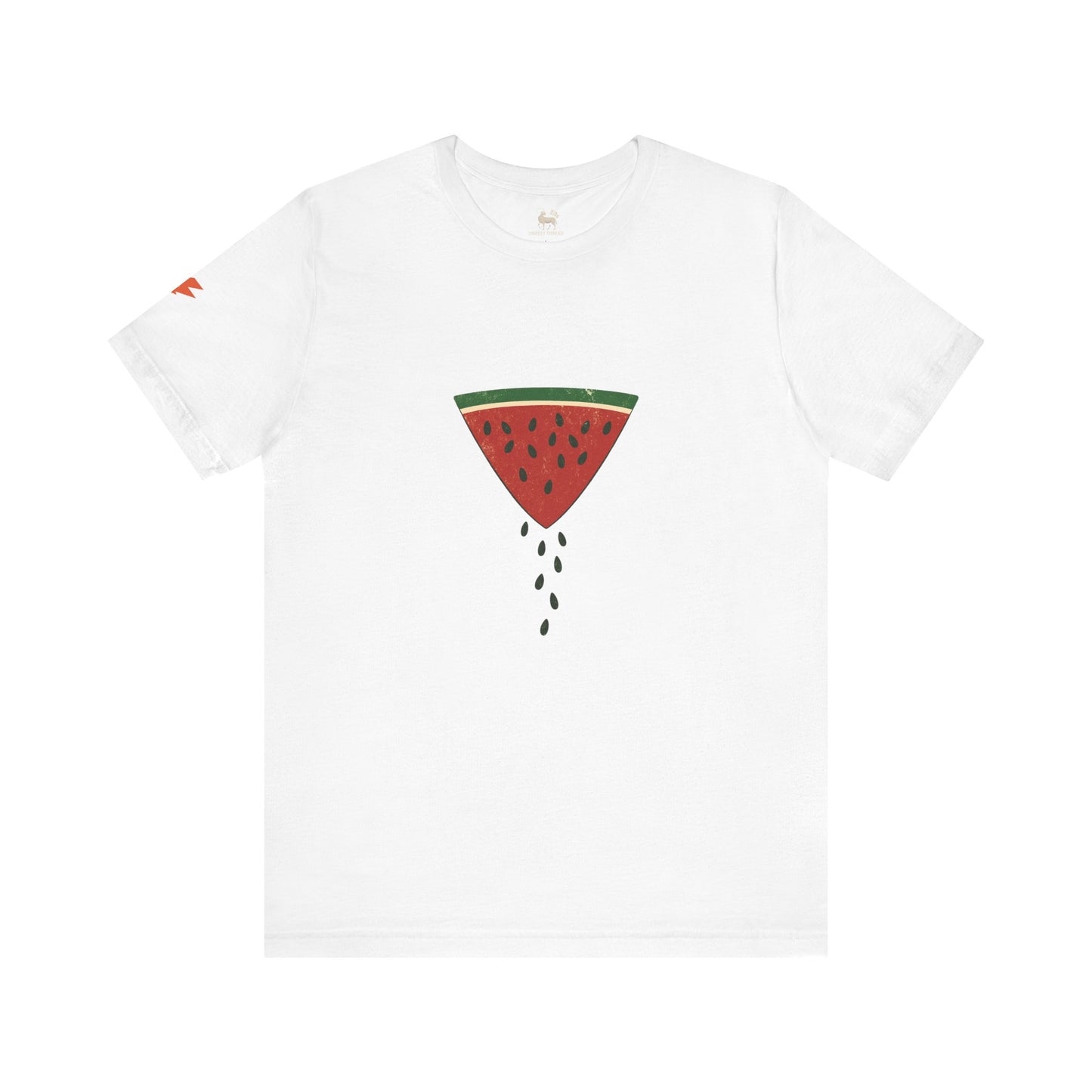 Watermelon Wedge / Falling Seeds | Distressed Print Tee