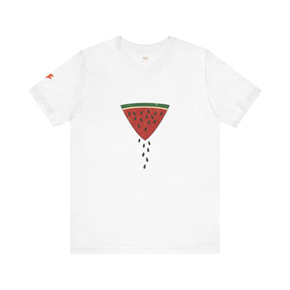 Watermelon Wedge / Falling Seeds | Distressed Print Tee