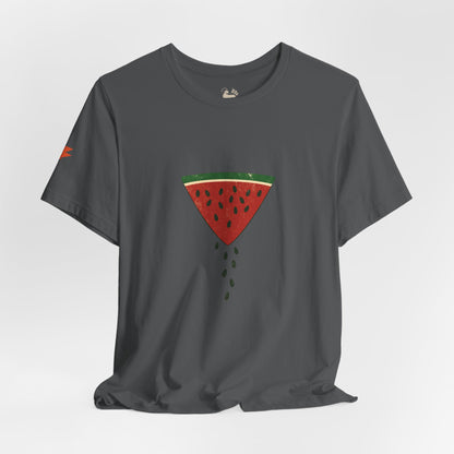 Watermelon Wedge / Falling Seeds | Distressed Print Tee