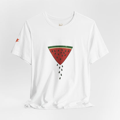 Watermelon Wedge / Falling Seeds | Distressed Print Tee