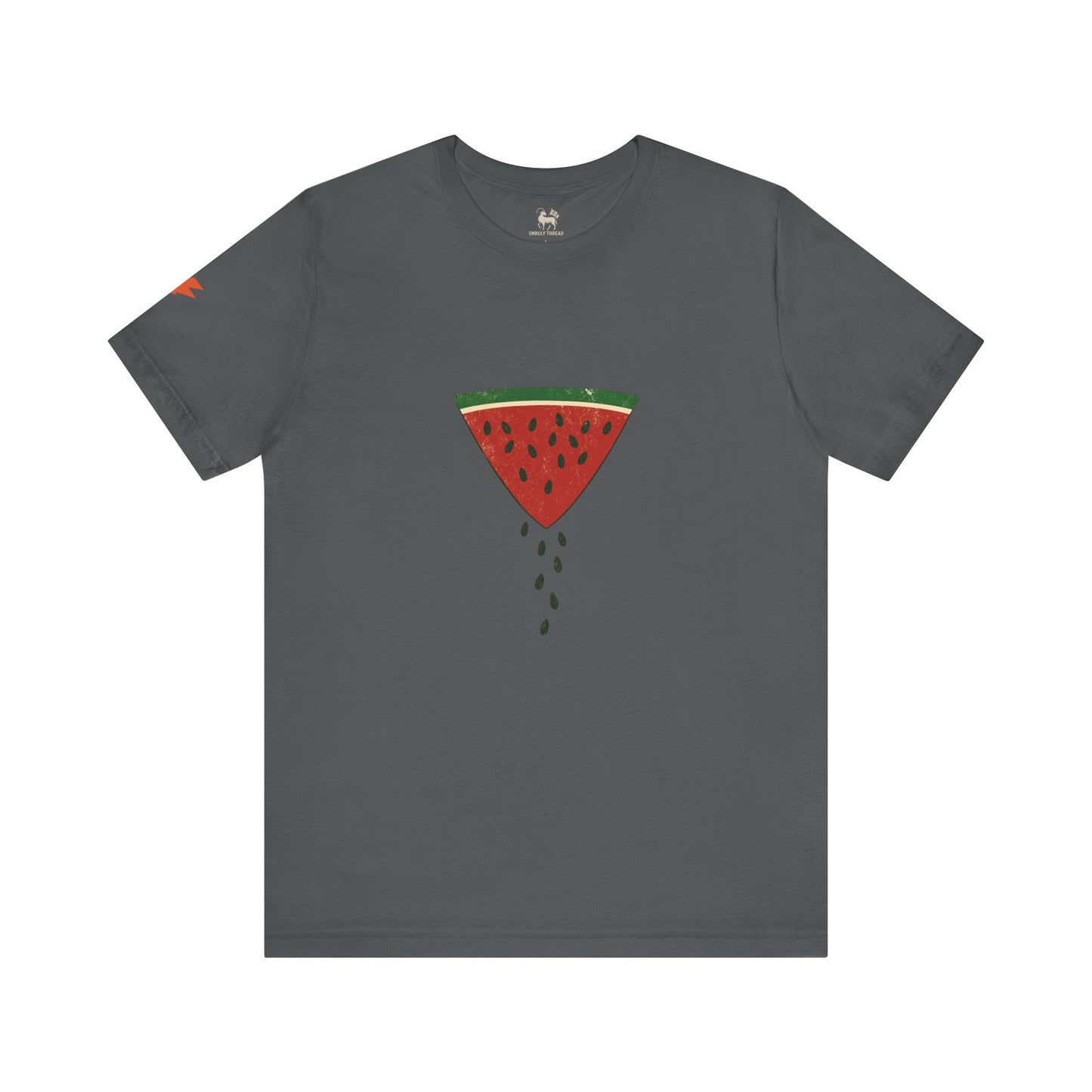 Watermelon Wedge / Falling Seeds | Distressed Print Tee