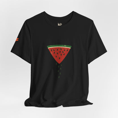 Watermelon Wedge / Falling Seeds | Distressed Print Tee